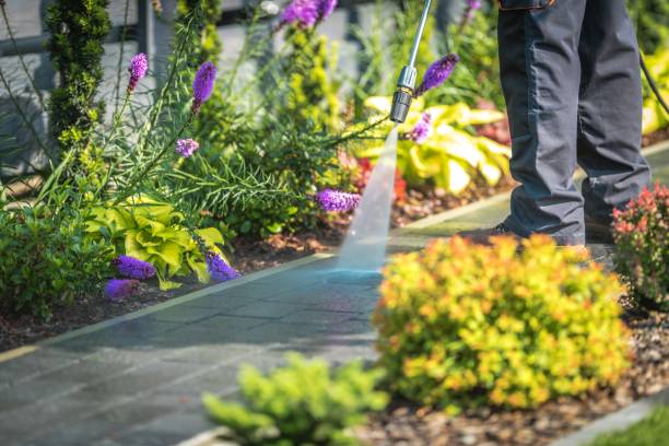 Best Pre-Holiday Cleaning  in Stone Mountain, GA